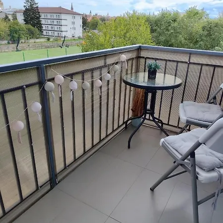 The Views